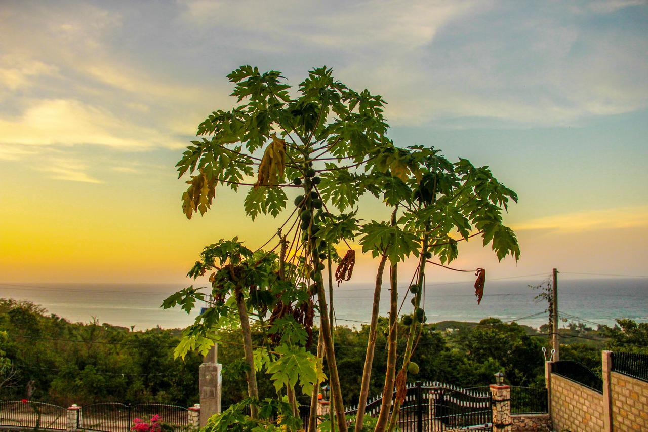 Sunshine Lodge: Your Home Away From Home Montego Bay Exterior foto